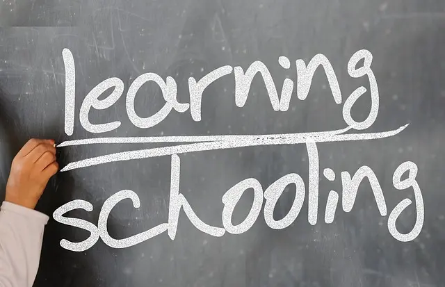 Cómo elegir la mejor plataforma de educación en línea para tus necesidades
