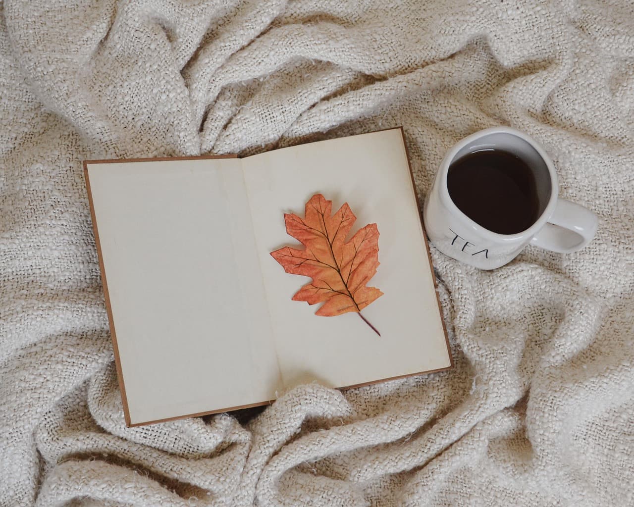 Cómo fomentar la lectura en casa para niños